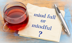 Mindful Youth Work Benefits You and Young People