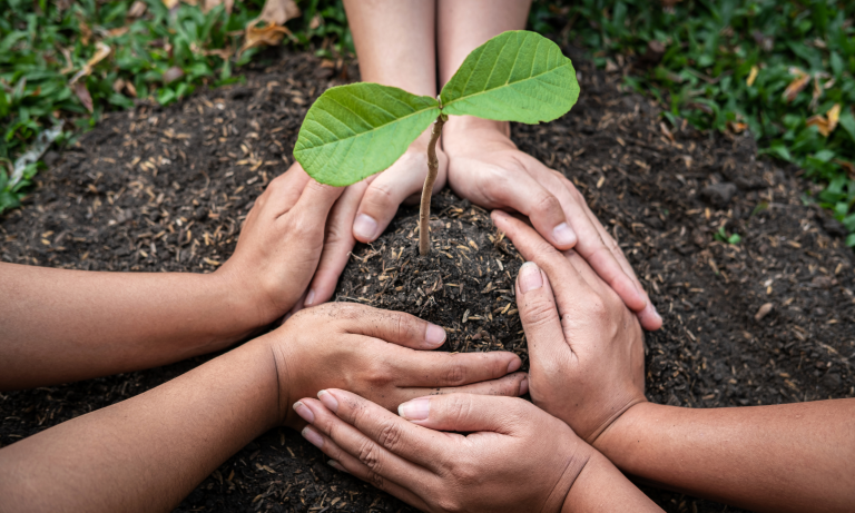 Personal Growth Needs Nurturing to Bloom