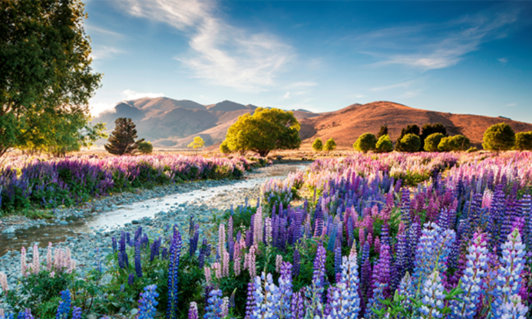 Spring Inspiration for Youth Workers