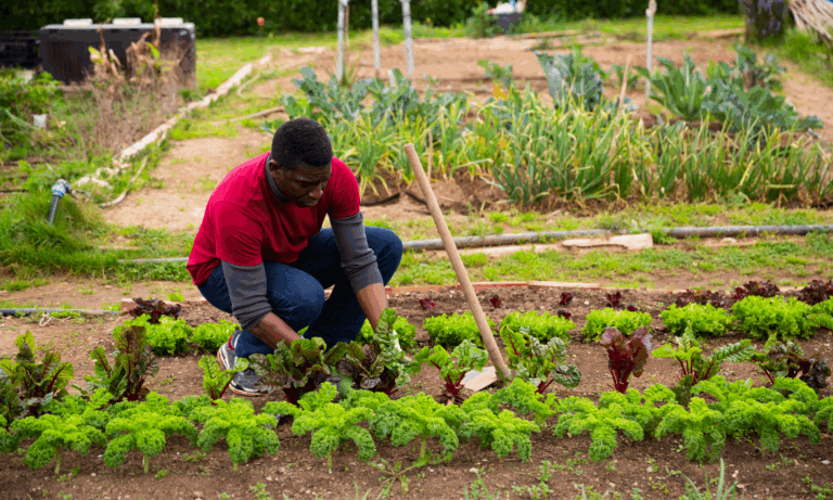 A Shared Commitment to a Better Future